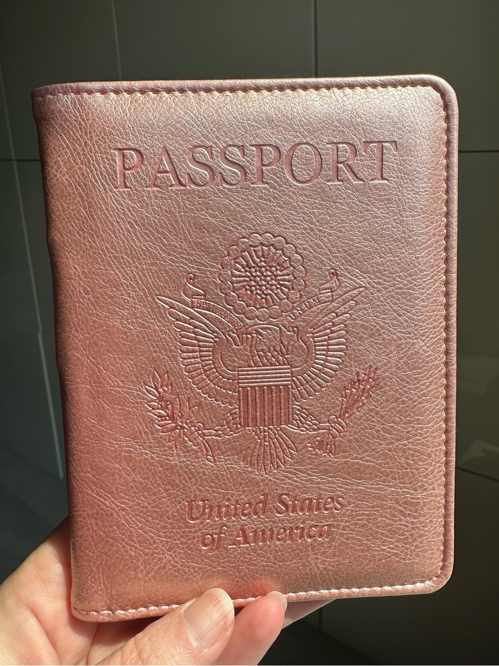 Pink Metallic Passport Holder Card Slots Pen Sim Money International Travel USA